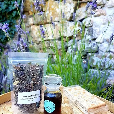 Abrigo Montesinho Casa de Férias *