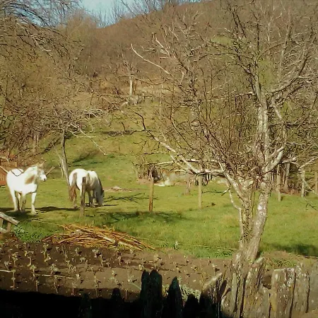 別荘 Abrigo Montesinho