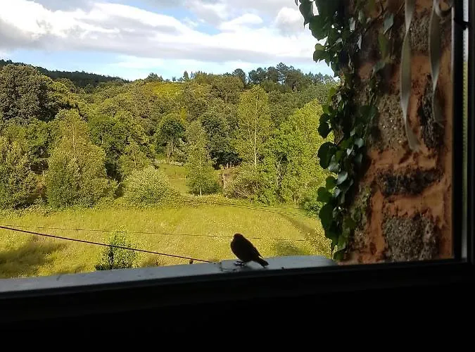 Abrigo Montesinho 펜션 *