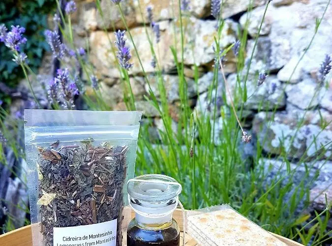 Abrigo Montesinho 펜션 *