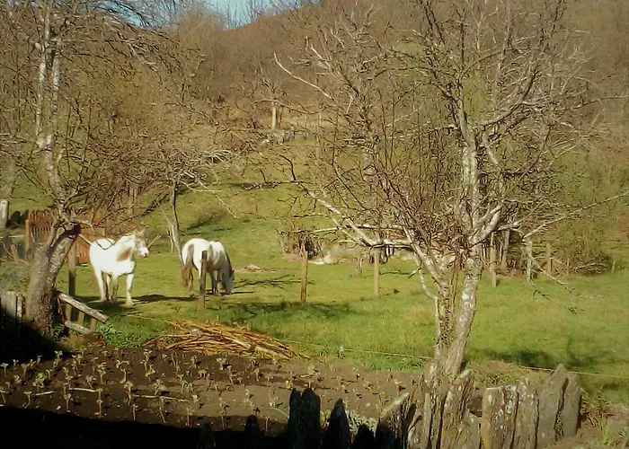 Сasa de vacaciones Abrigo Montesinho