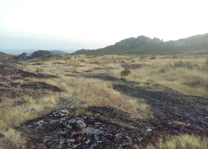 Abrigo Montesinho * Montezinho